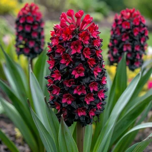 Гиацинт Джем Стоун купить по цене от 2099р. в интернет-магазине «Посадика» с доставкой почтой в в Снежногорске и по всей России – [изображение №1].