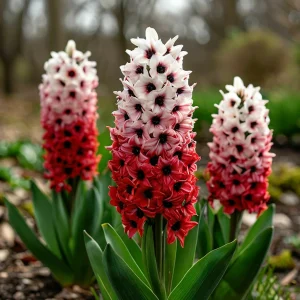 Гиацинт Скай Гарден купить по цене от 2099р. в интернет-магазине «Посадика» с доставкой почтой в в Снежногорске и по всей России – [изображение №1].